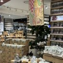 판교365약국 이미지