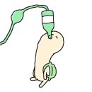 유가네식당 - 남양주시 | 유가네식당