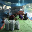 어전농장 이미지