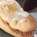 (주)알비노 이미지