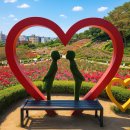 부천8경 포토존2 | 2025부천백만송이장미축제 주차, 대중교통, 인기 포토존까지 완벽가이드