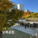 해오른공원(현대5호) 농구장 | 양천구 아이와 가볼만한곳 목동 오목공원 공영주차장, 오목한미술관, 키즈카페 정보