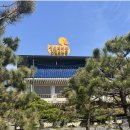 생오리마당 이미지