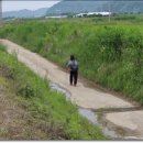 새솔학교 이미지