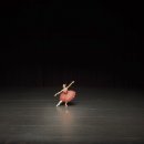 베드로목장2 이미지