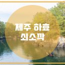 제주 서귀포 쇠소깍 이미지