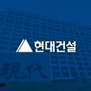 뉴올리브숲 이미지