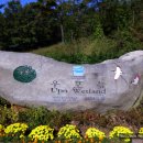 우포늪 광장 이미지