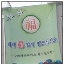 강화파라다이스