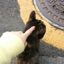 골리앗pc방 이미지