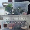 펫엔글라이더 대전점 이미지