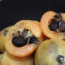 조흥농장 이미지