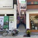 금성주단 이미지