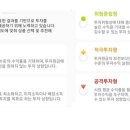 쿼터백