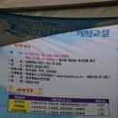 해양스포츠교실 Daum카페
