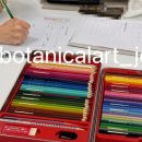 힐링 꽃과 식물 세밀화 이미지