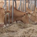 관보농장 이미지