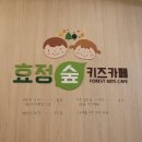 효정숲