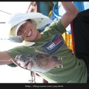 효자도6 이미지