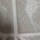 동탄파크 푸르지오 이미지