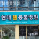 현대웰동물병원 이미지