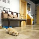 순천게스트하우스느림 이미지