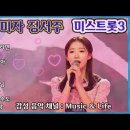 💜 정서주 노래 모음 (미스트롯3 경연곡 동백아가씨외) 이미지