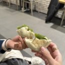 테디투어 이미지