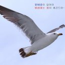 그냥작고소박한