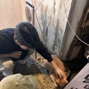 마마트24 이미지