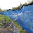 용인농장 이미지