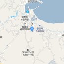 오싱과일