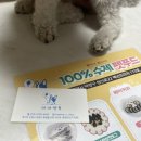 까까앤독 이미지