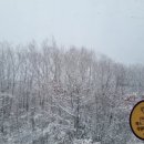 연규홍소아청소년과의원 이미지