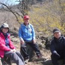 지리산산수유 이미지