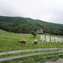 수정목장 이미지