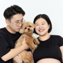 펫밀리스튜디오