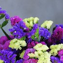 인터넷과정보 이미지