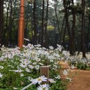 삼문동 문화체육회관 체육관 네이버블로그