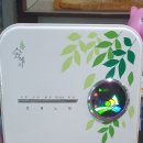 용인대노원태권도체육관 이미지