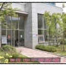 국제아파트 앞 1 이미지