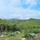 점봉체육관 이미지