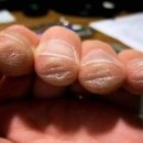 박종호 클래식 기타콘서트 ''고목에 피는 꽃'' 네이버블로그