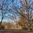 산림박물관 온실화장실 이미지