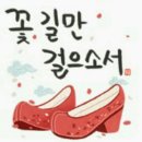 내 인생 길에서/초동/영역남애숙 이미지