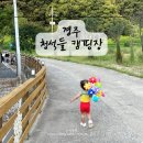 경북 키즈캠핑장 경주 청석들 캠핑장 온수풀 수영장 캠핑