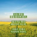 장흥정남진 이미지