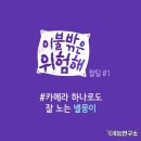 원이불
