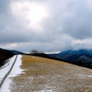 양대목장 이미지