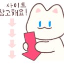 사조투어여행